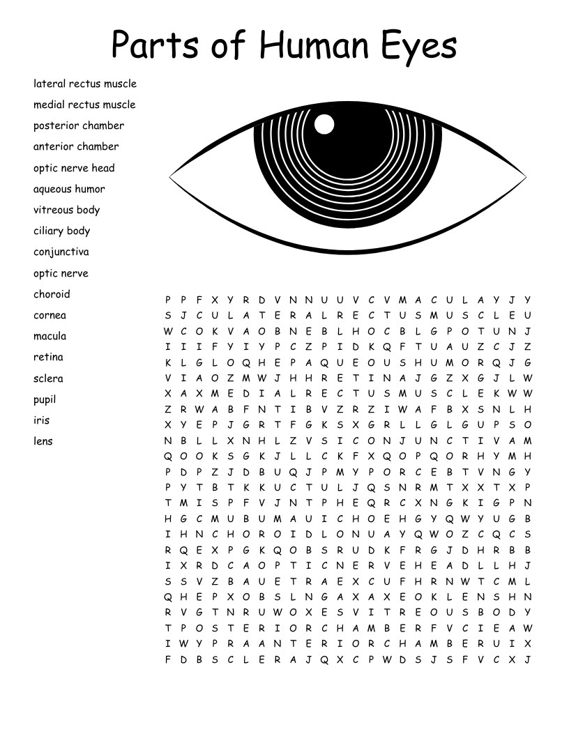 Eye Crossword WordMint Eye Crossword WordMint