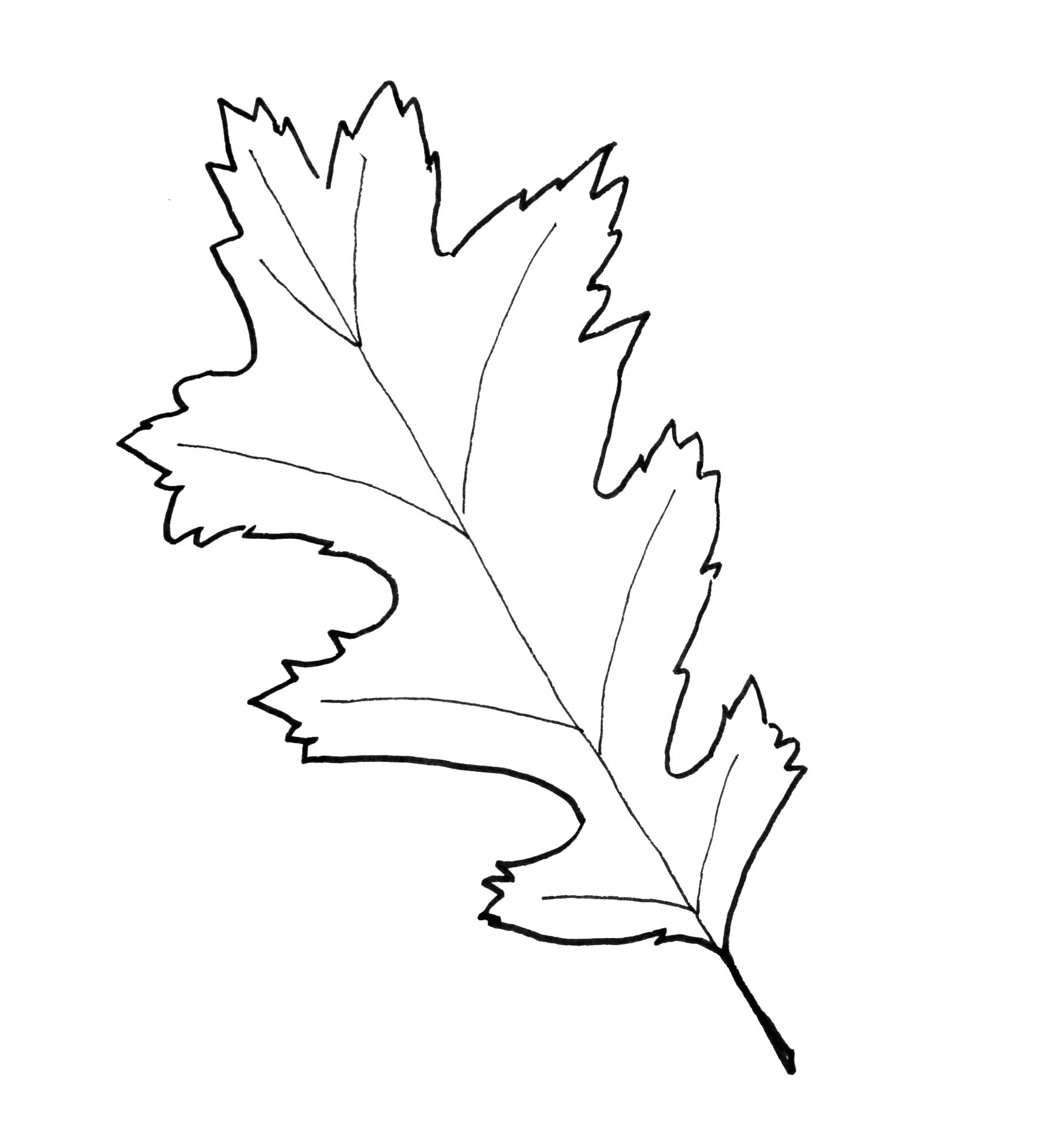 fall leaves printable template fall leaves printable template