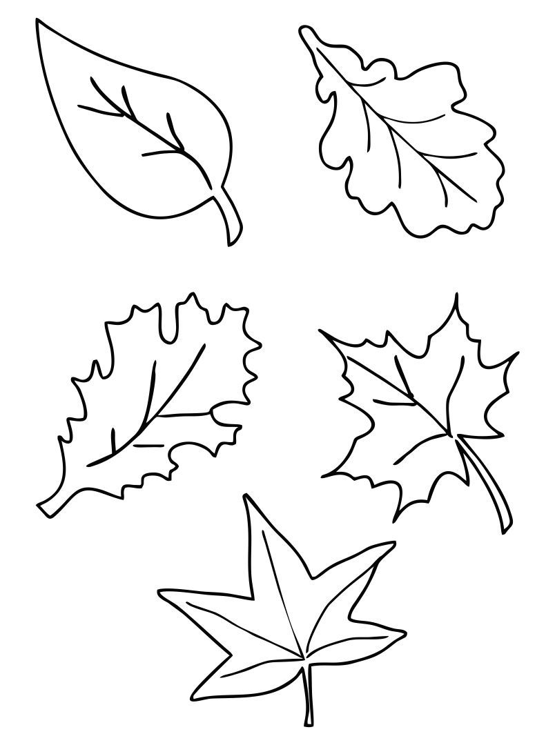 Fall Leaf Printables Printable Party Favors