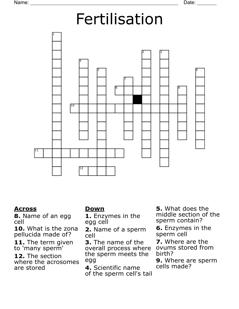 Fertilisation Crossword WordMint Fertilisation Crossword WordMint