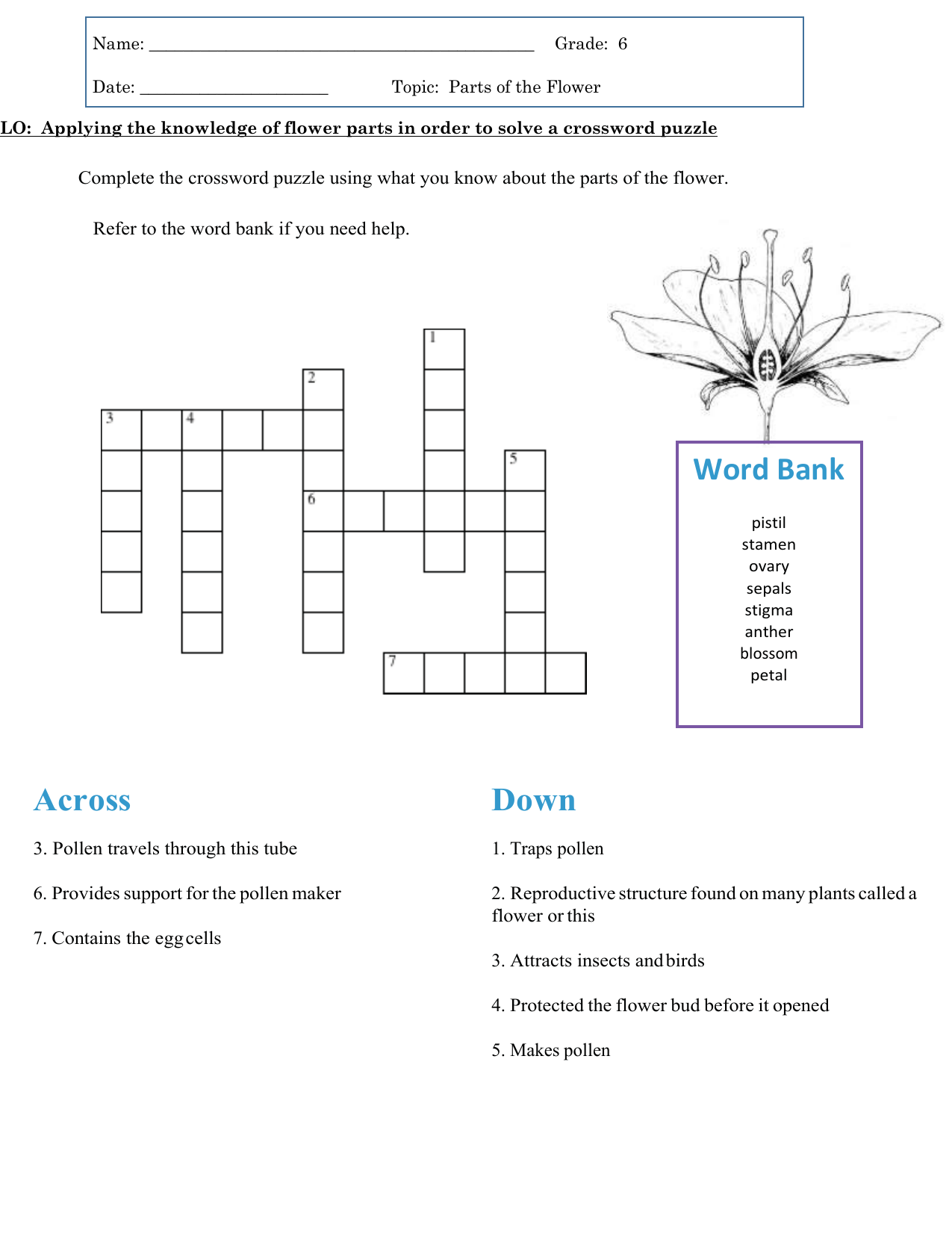 Flower Parts Crossword Puzzle Worksheet Flower Parts Crossword Puzzle Worksheet