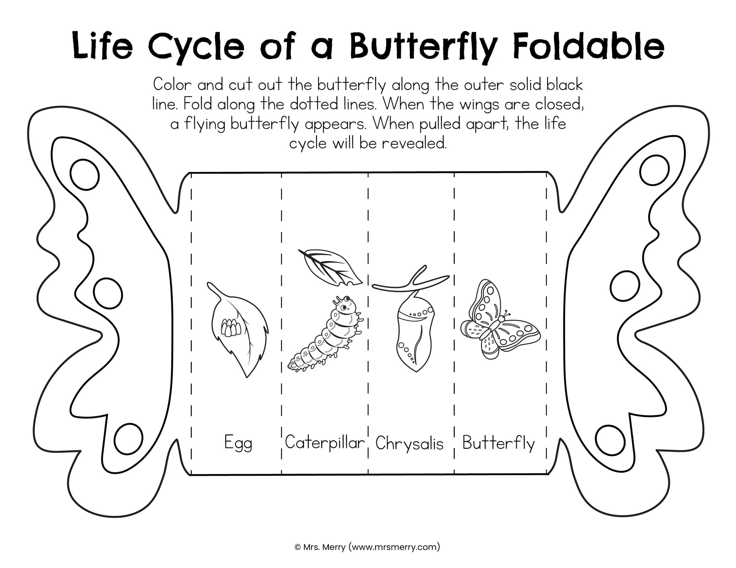 worksheet life cycle of butterfly worksheet life cycle of butterfly
