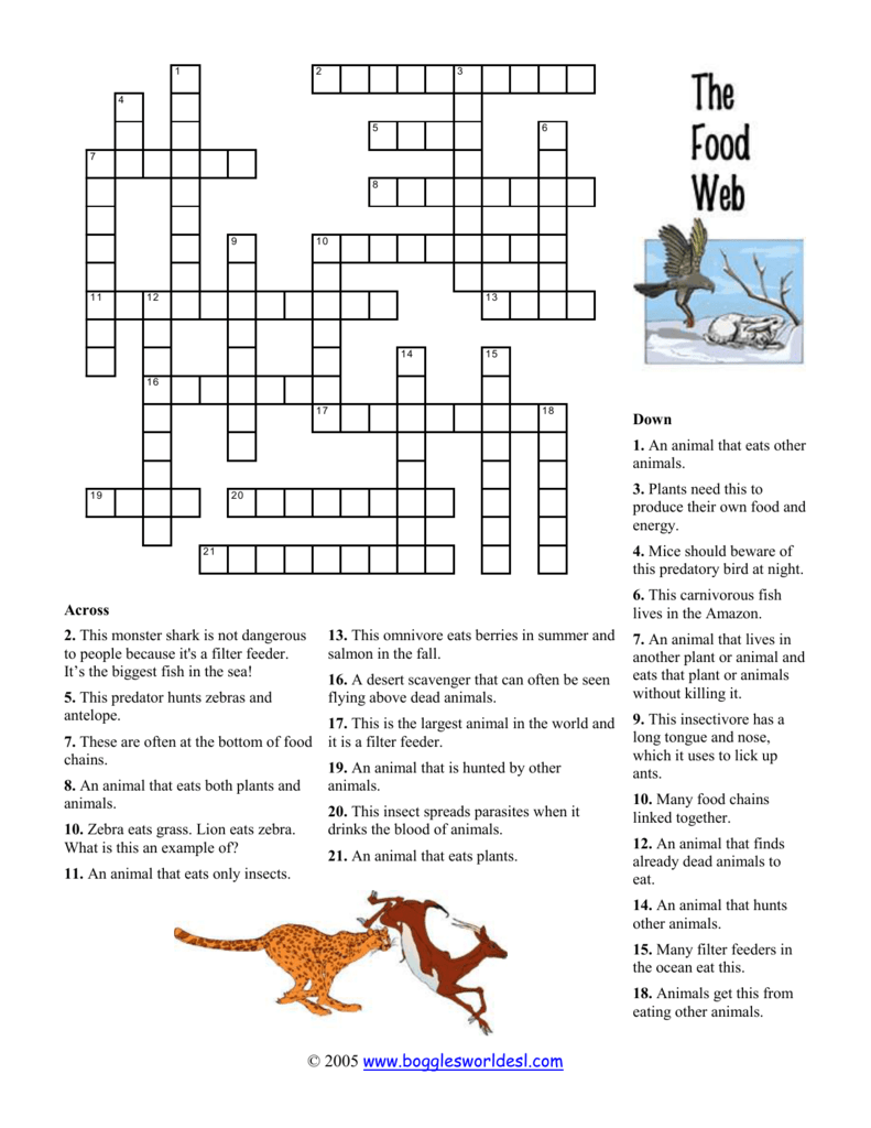 Food Chain Web Crossword Puzzle Ecology For Kids