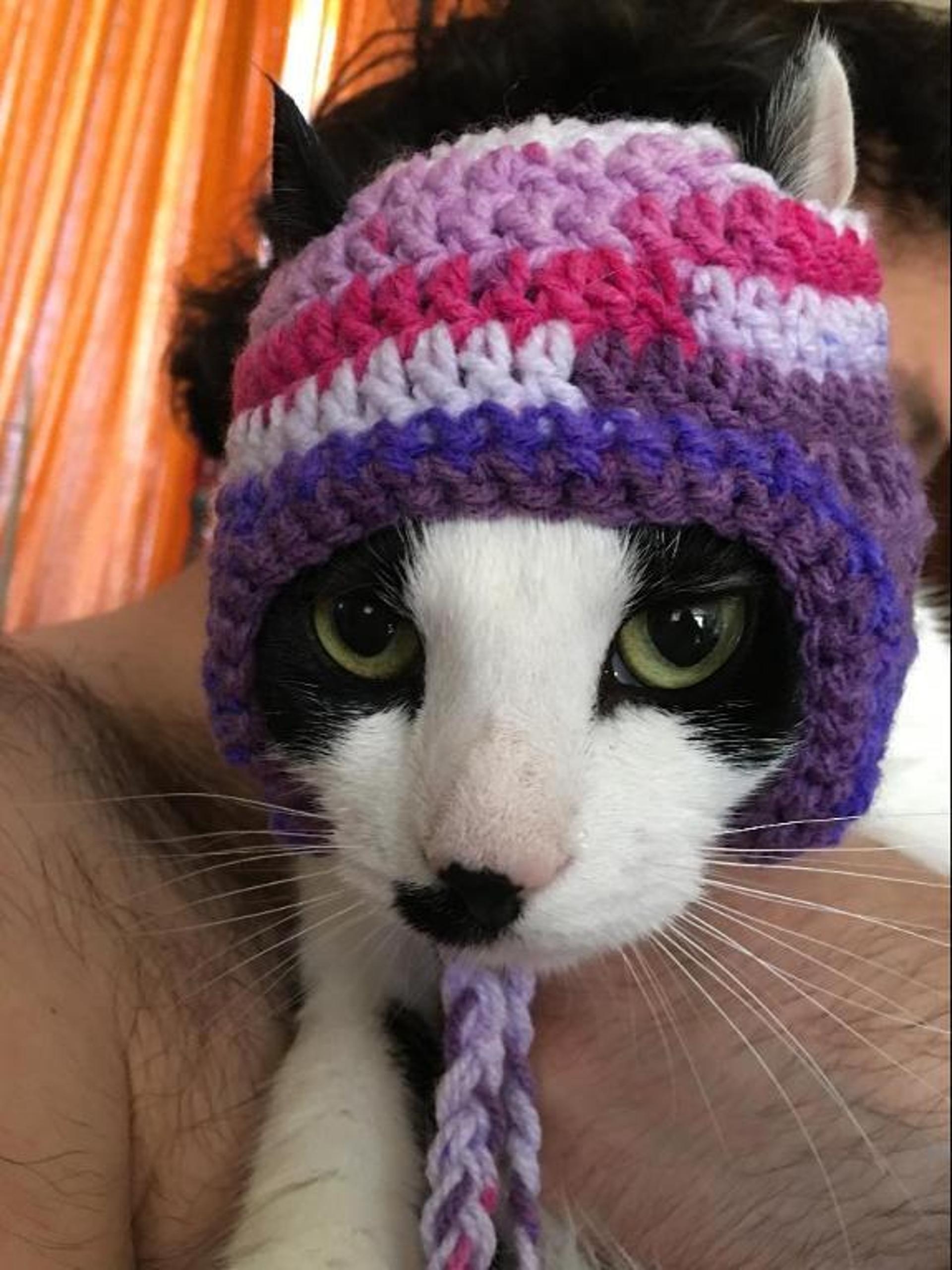 free crochet cat hat pattern free crochet cat hat pattern