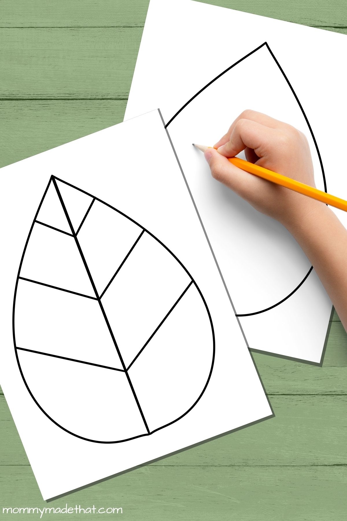 Free Leaf Templates Outlines Tons Of Printables Free Leaf Templates Outlines Tons Of Printables