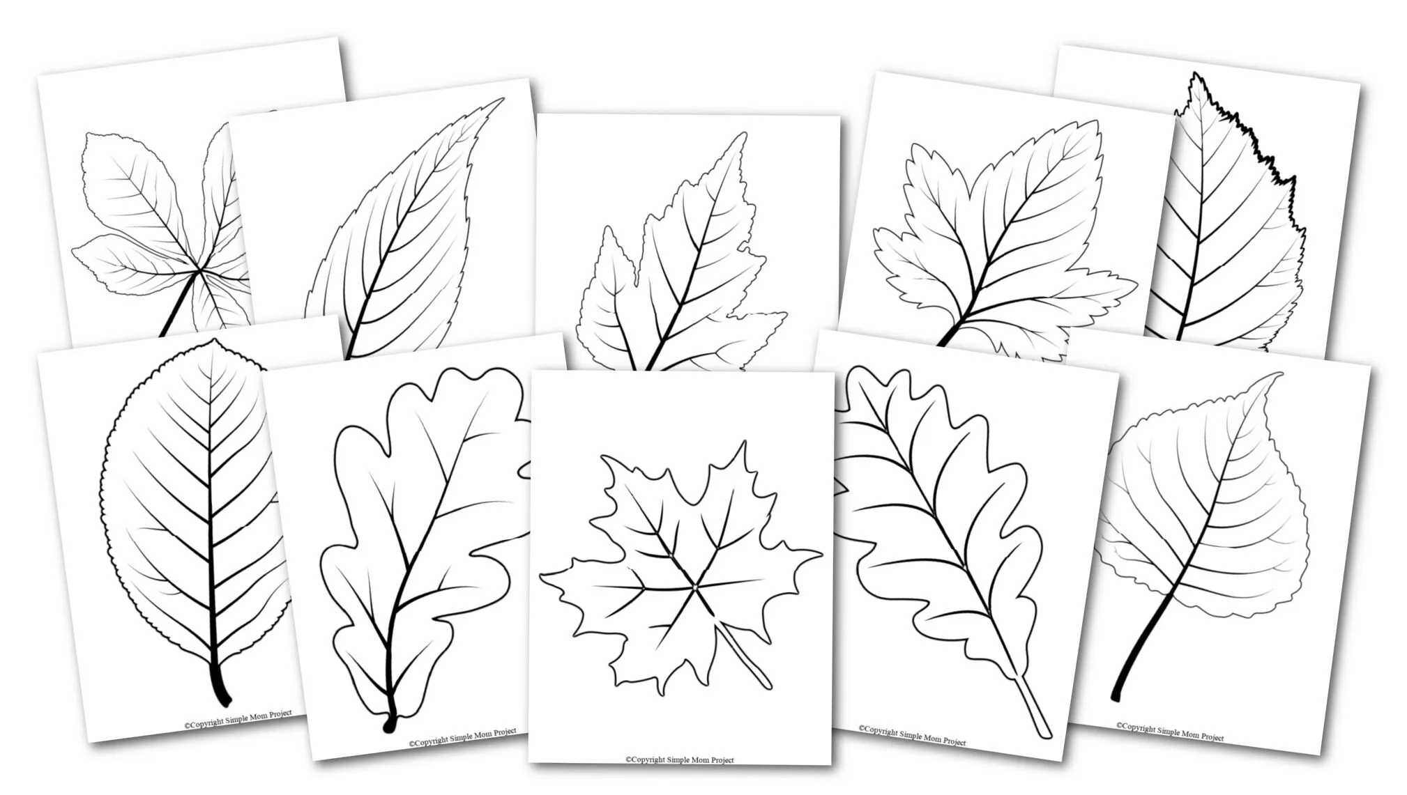 Free Printable Large Leaf Templates Stencils And Patterns Simple Mom Project Free Printable Large Leaf Templates Stencils And Patterns Simple Mom Project