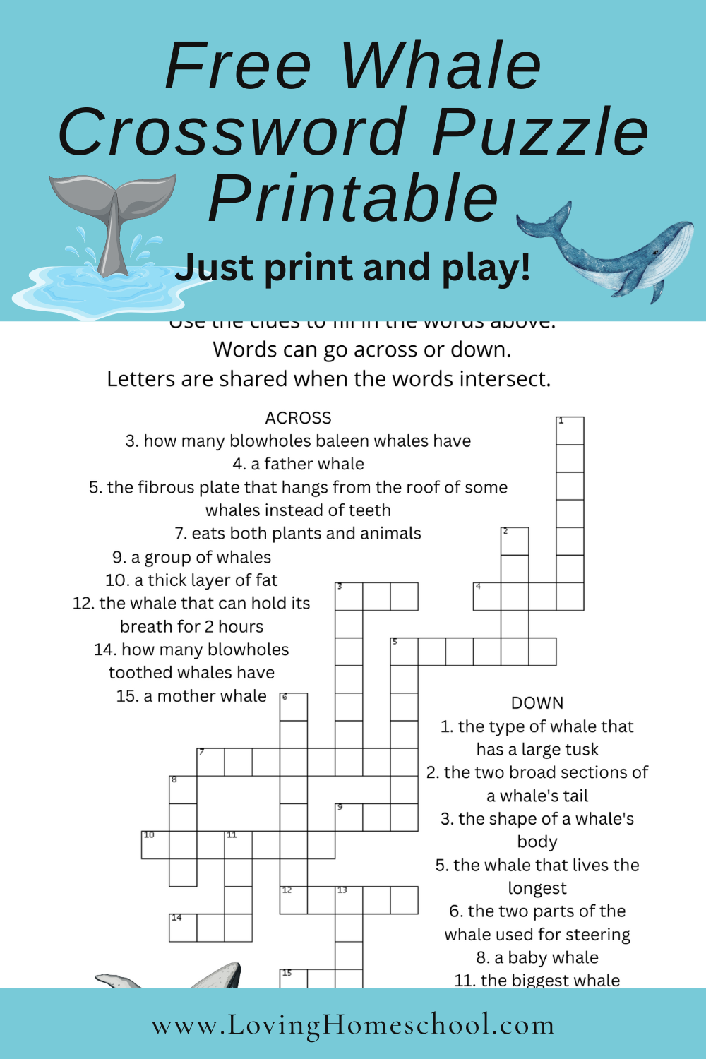 Free Whale Crossword Puzzle LovingHomeschool Free Whale Crossword Puzzle LovingHomeschool