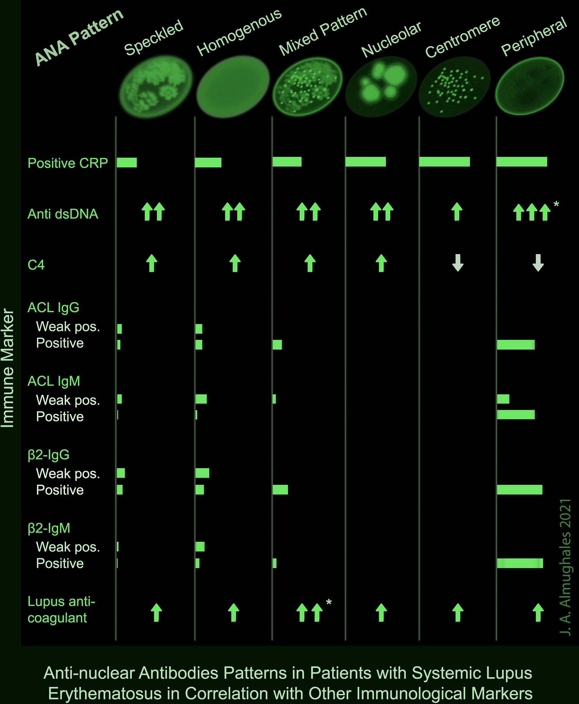 Frontiers Anti Nuclear Antibodies Patterns In Patients With Systemic Lupus Erythematosus And Their Correlation With Other Diagnostic Immunological Parameters Frontiers Anti Nuclear Antibodies Patterns In Patients With Systemic Lupus Erythematosus And Their Correlation With Other Diagnostic Immunological Parameters