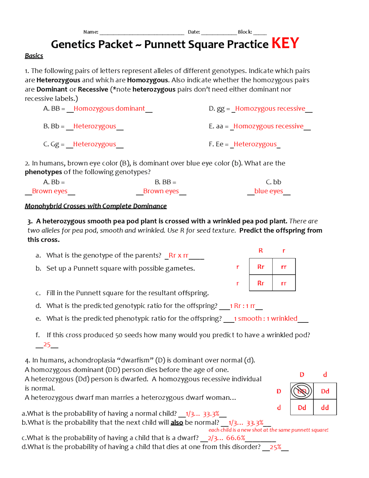 Genetics Packet Punnett Square Practice KEY Lecture Notes Worksheets Library Genetics Packet Punnett Square Practice KEY Lecture Notes Worksheets Library