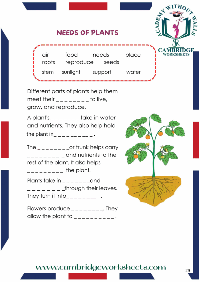 Grade 3 Science Pack Cambridge Work Sheets