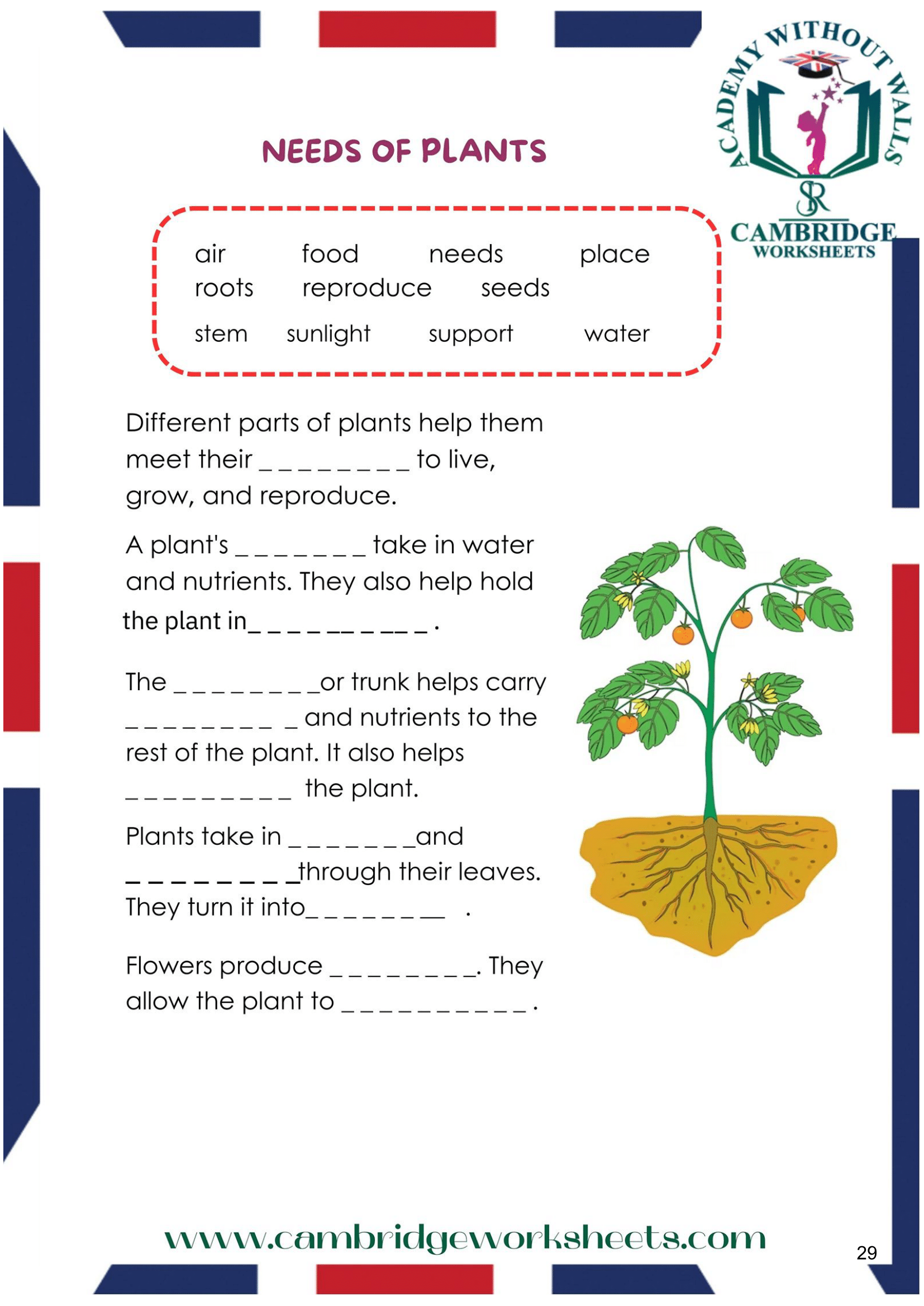 Grade 3 Science Pack Cambridge Work Sheets