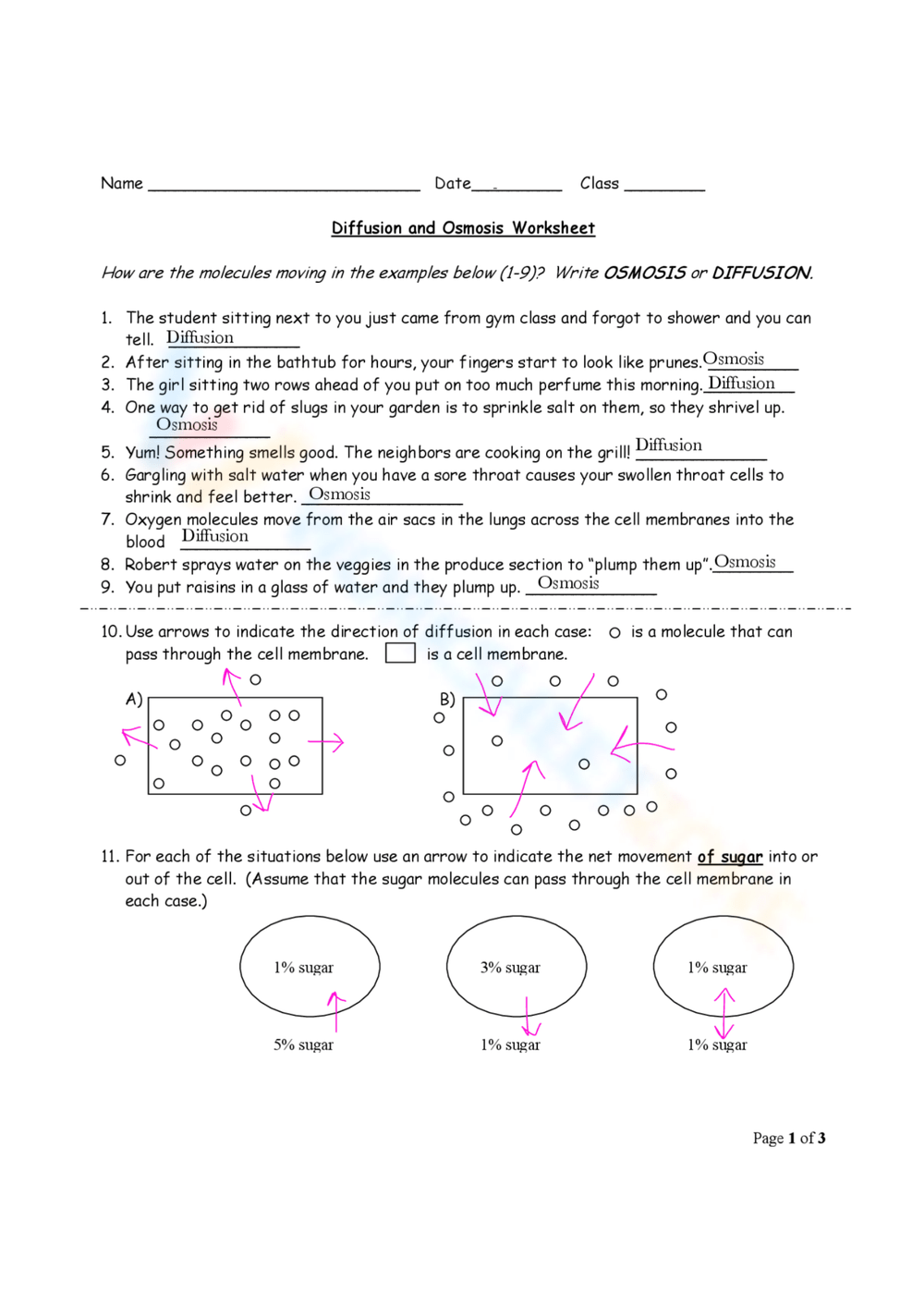 Grade 8 Diffusion And Osmosis Worksheets Grade 8 Diffusion And Osmosis Worksheets