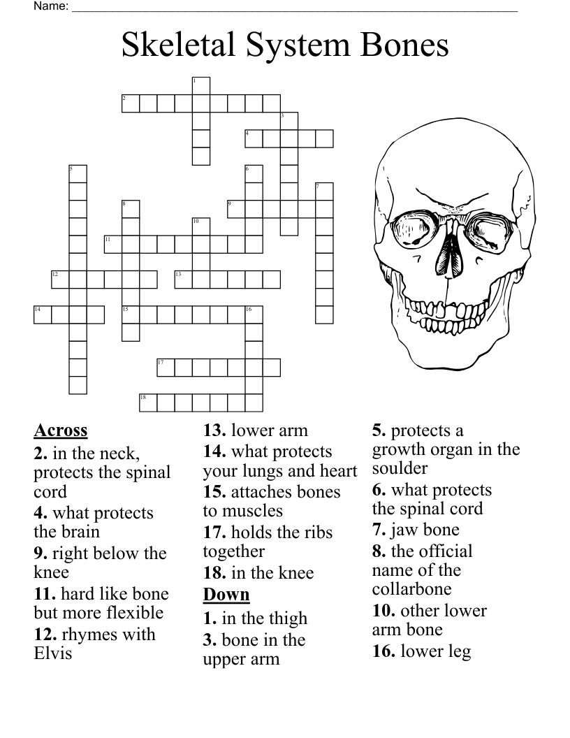 Head Back Neck Crossword WordMint Head Back Neck Crossword WordMint