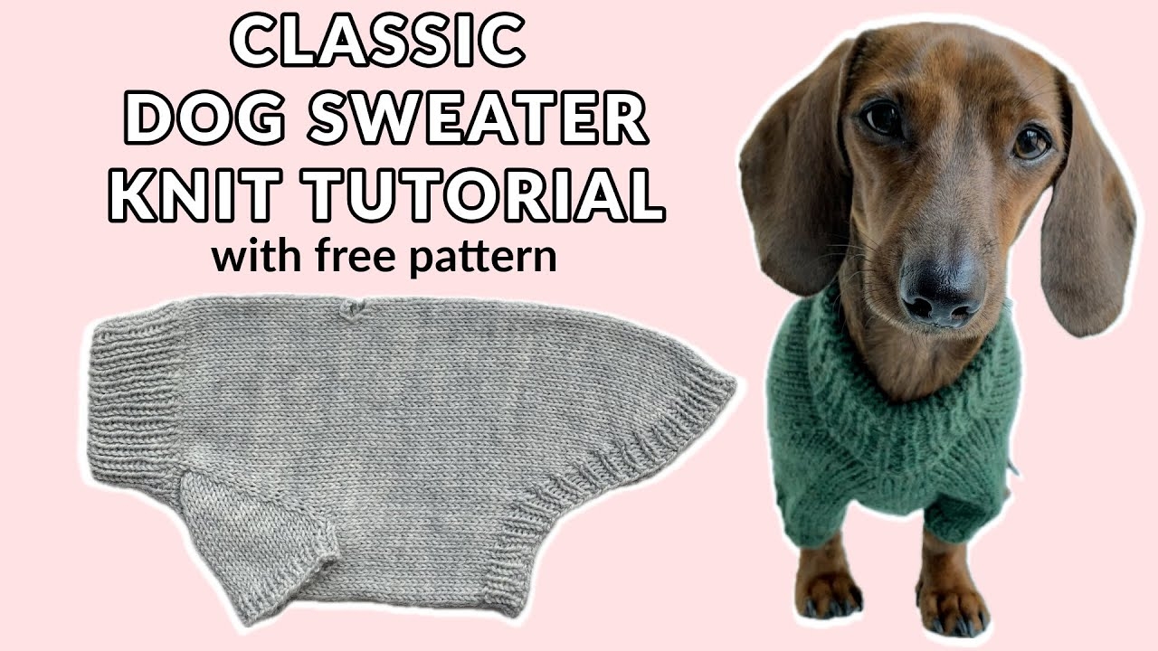 dog sweater knitting pattern dog sweater knitting pattern