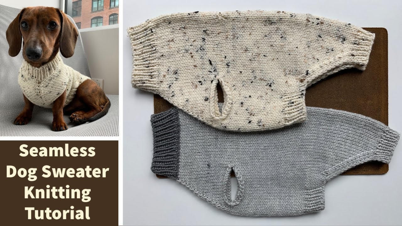 How To Make A Seamless Dog Sweater A Step by step Knitting Tutorial YouTube How To Make A Seamless Dog Sweater A Step by step Knitting Tutorial YouTube
