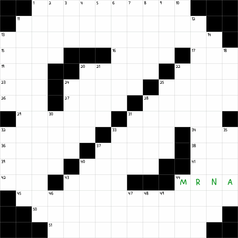 Kind Of Vaccine NYT Crossword Clue December 28 2024