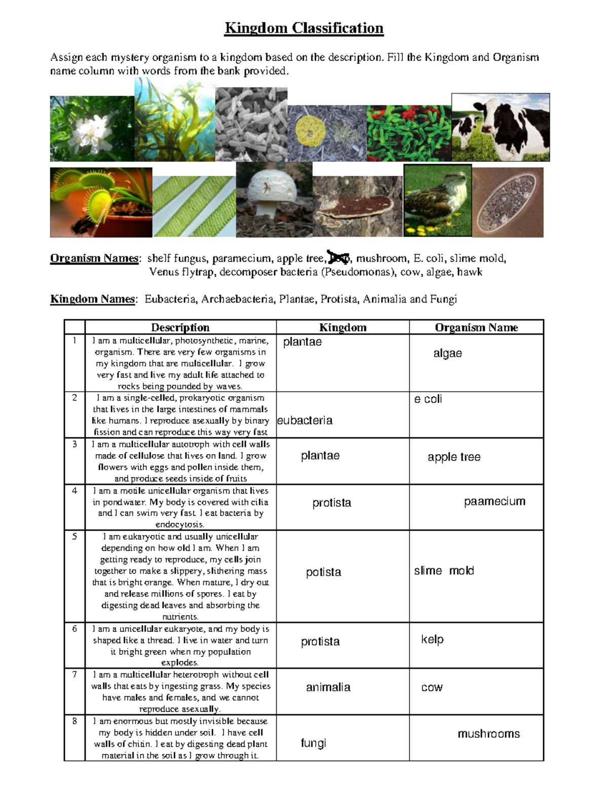 Kingdom Classification Worksheet For Organism Identification Studocu Kingdom Classification Worksheet For Organism Identification Studocu