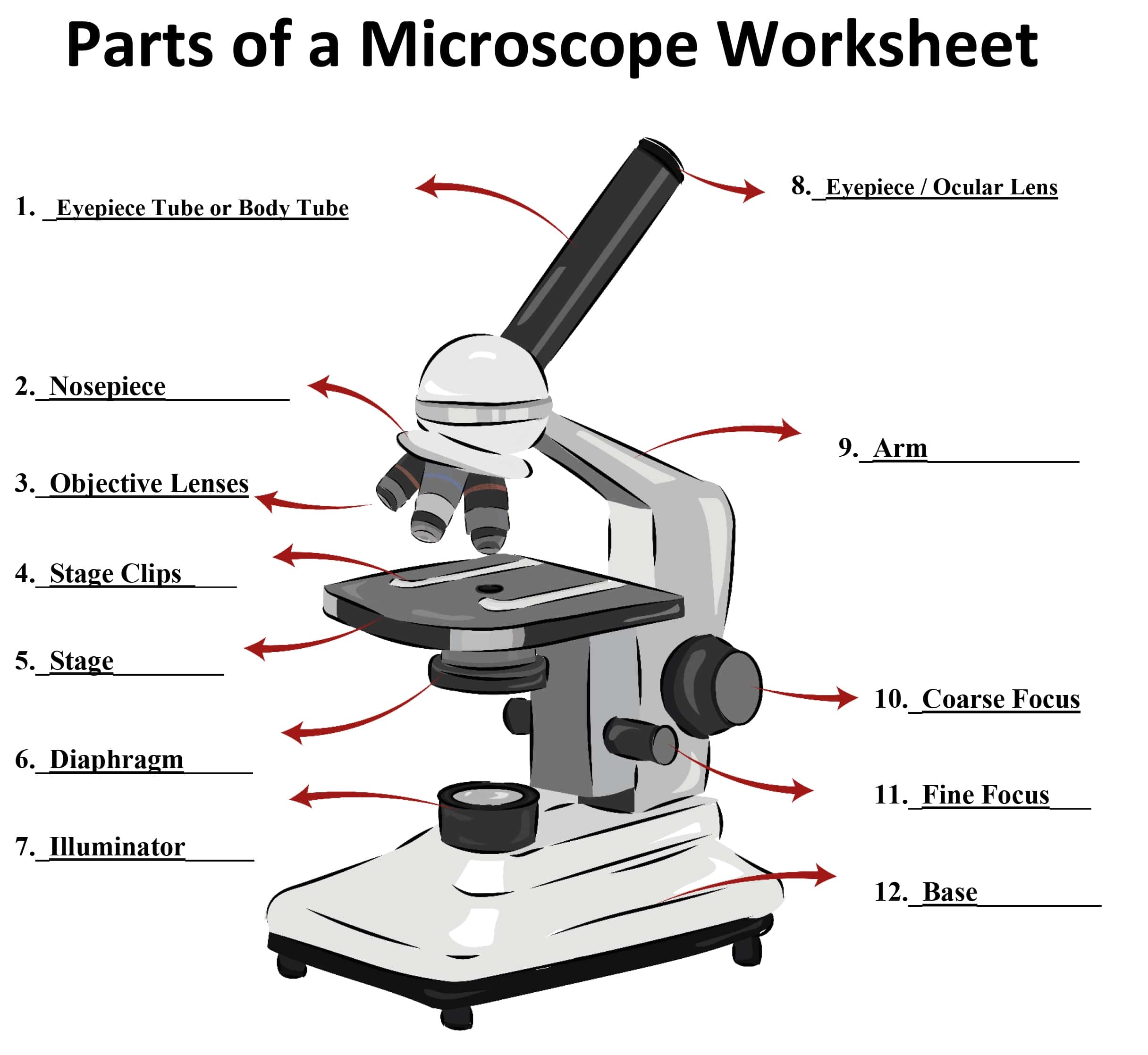 Learning About Microscopes Archives SmartSchool Systems Learning About Microscopes Archives SmartSchool Systems