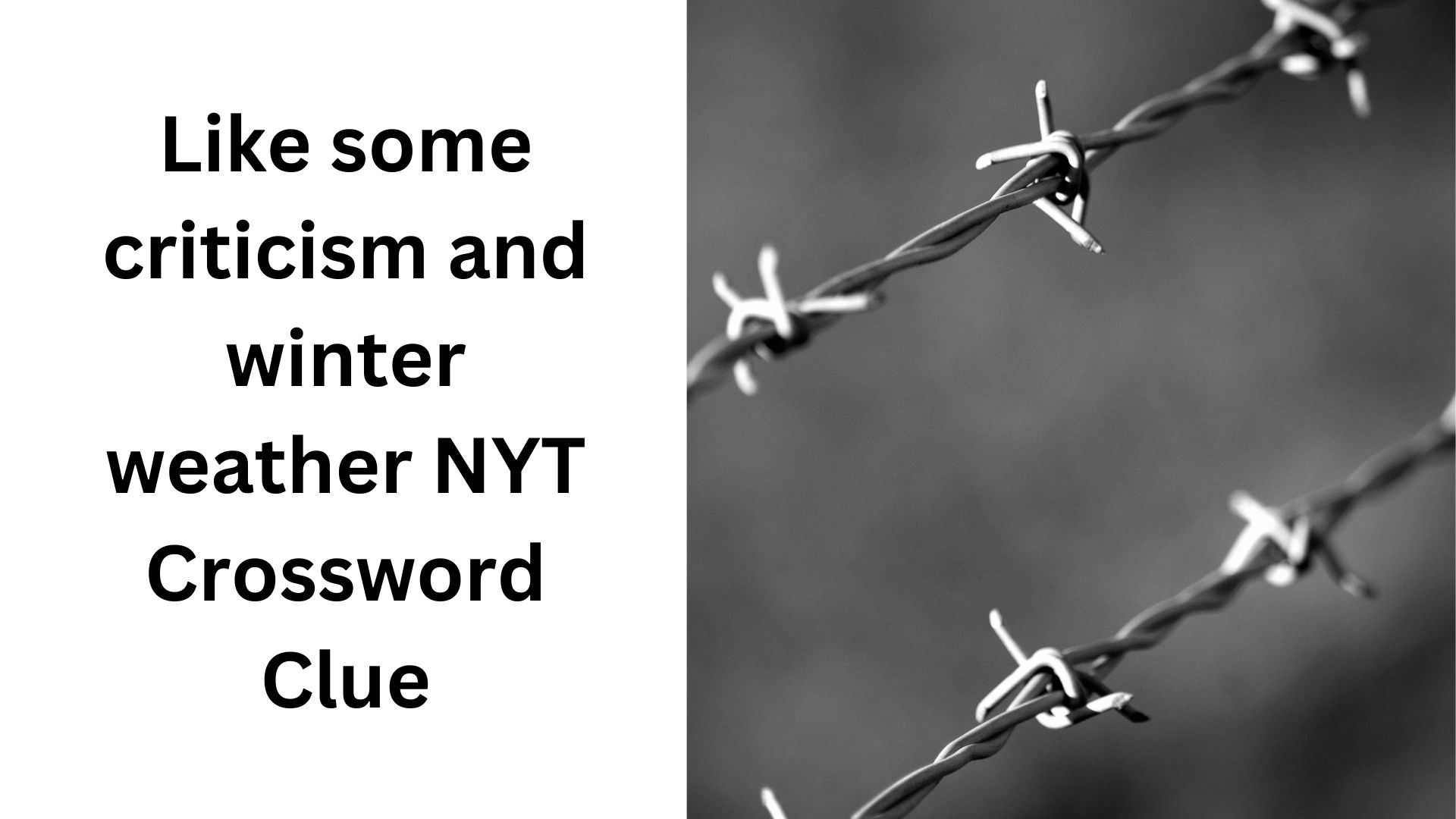 like does nyt crossword clue like does nyt crossword clue