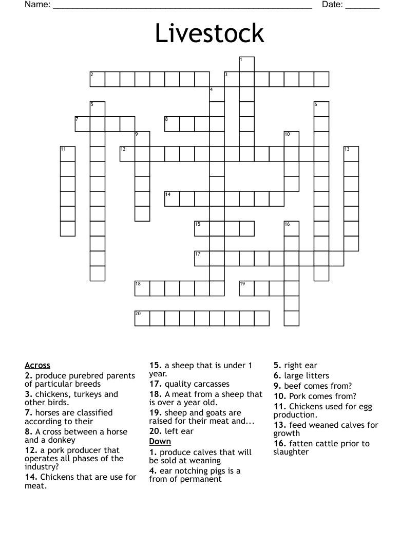 Livestock Crossword WordMint Livestock Crossword WordMint