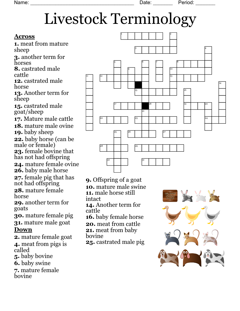 Livestock Crossword WordMint Livestock Crossword WordMint
