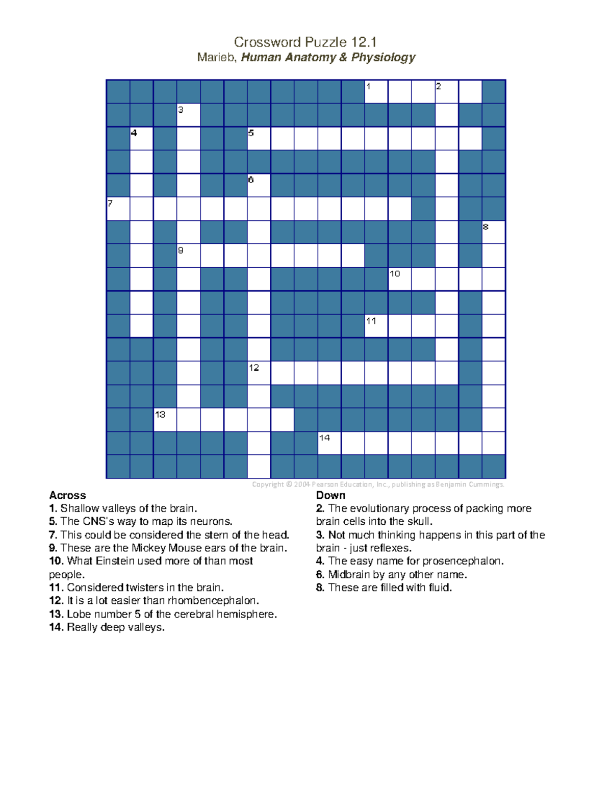 Marieb A P Ch13 Crossword Puzzle Exercise Studocu