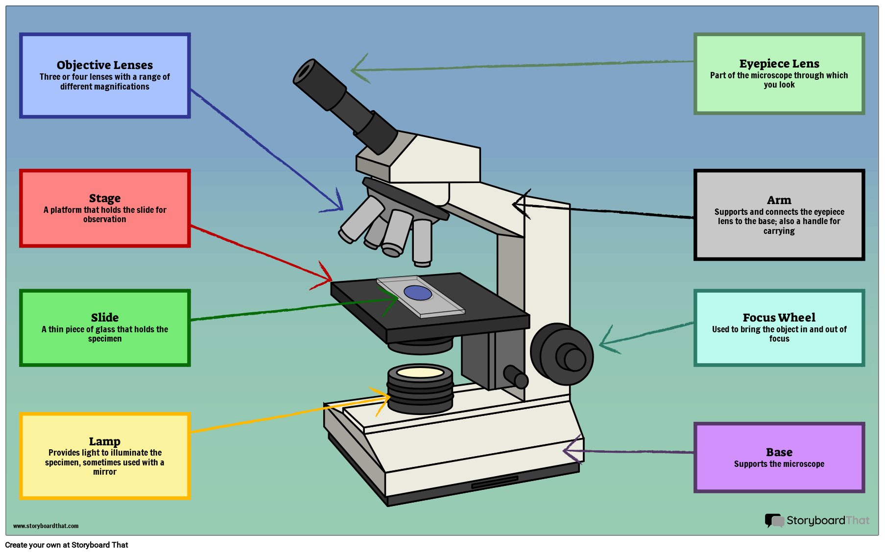 Microscope Parts Labeling Biology Activity For Students Microscope Parts Labeling Biology Activity For Students