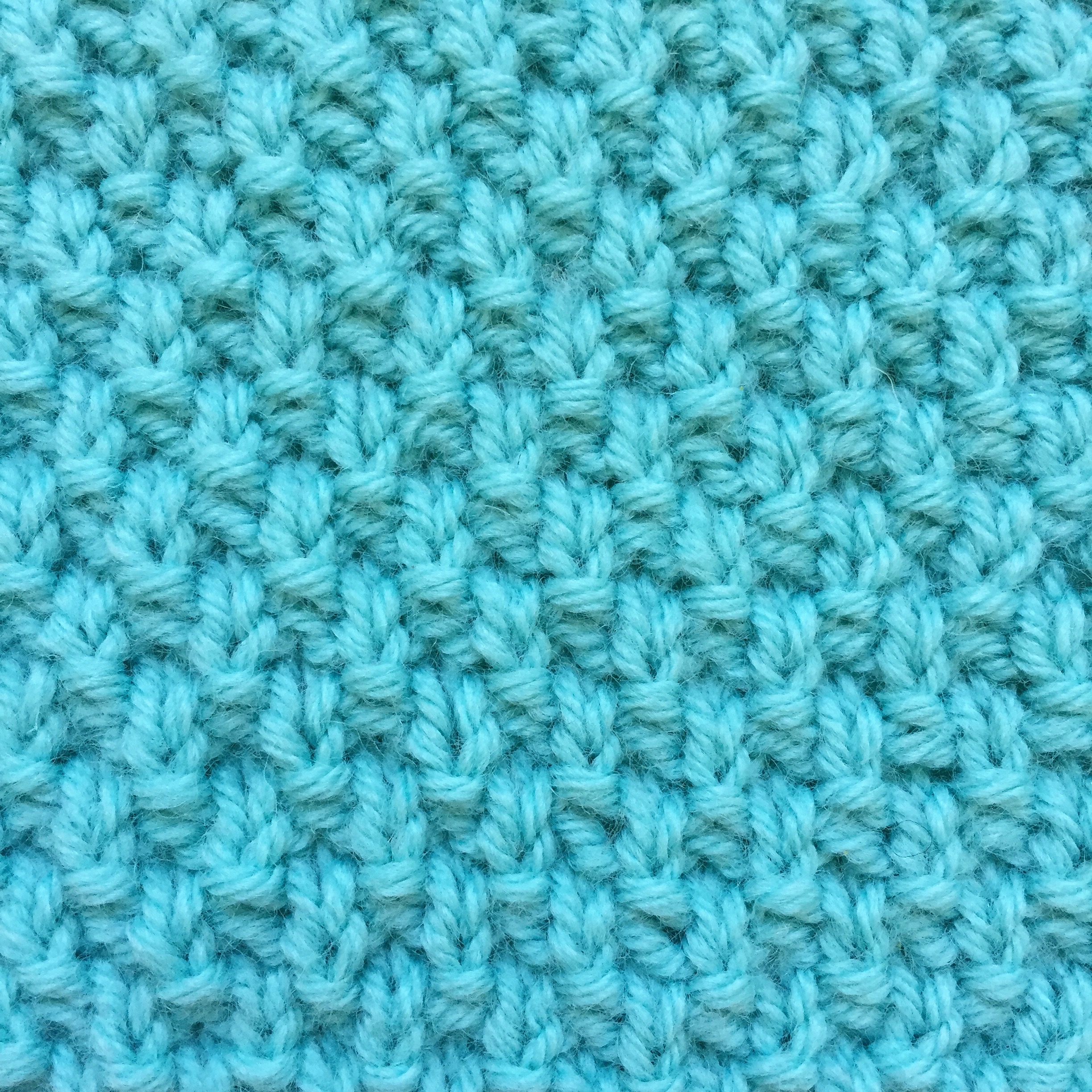 Moss Life Is Cozy Moss Life Is Cozy