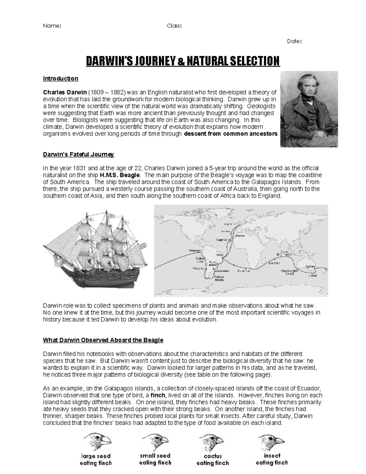 darwin's natural selection worksheet