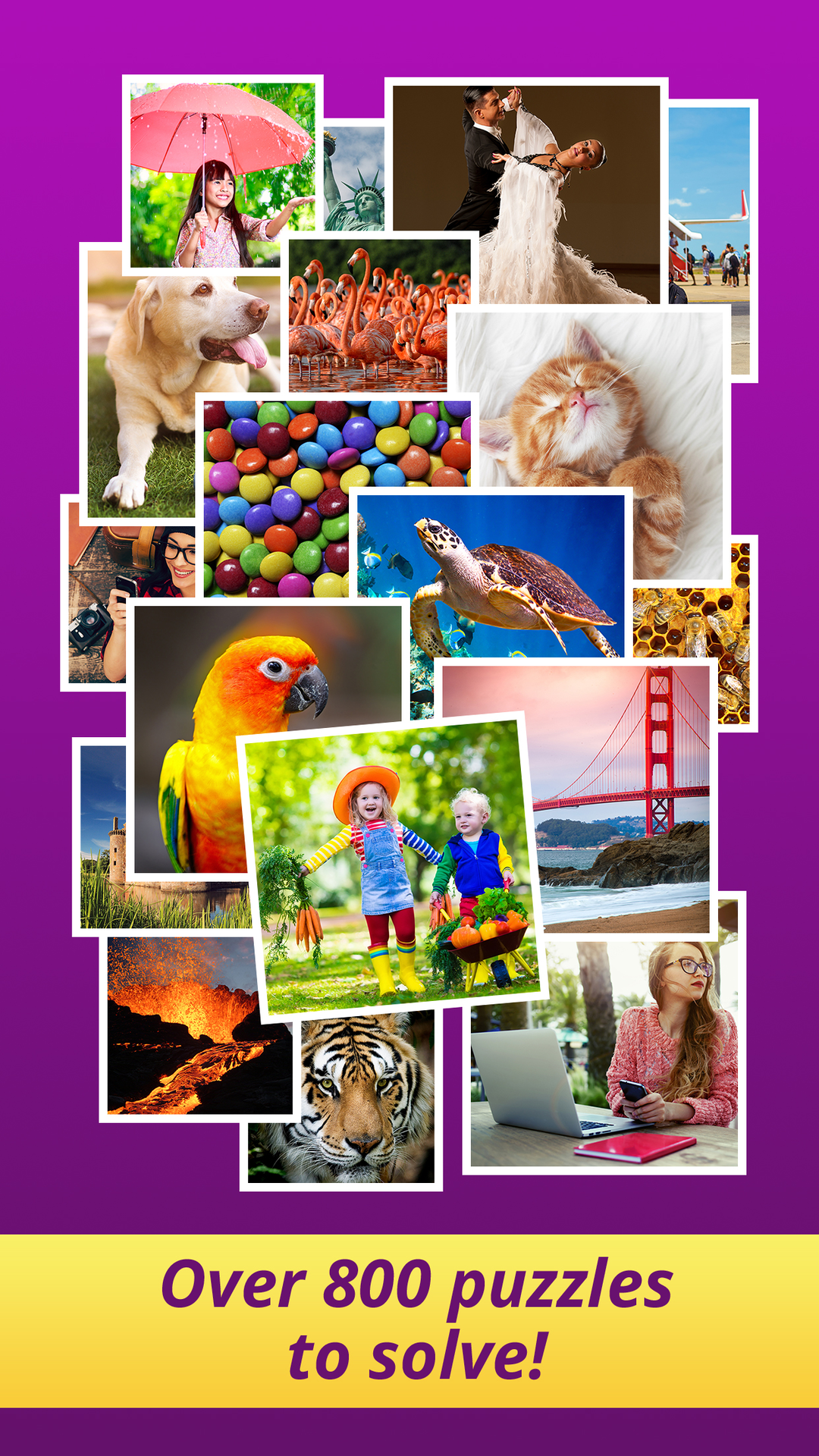 One Clue Crossword 100s Of Great Free Crosswords With Picture Clues App On Amazon Appstore One Clue Crossword 100s Of Great Free Crosswords With Picture Clues App On Amazon Appstore