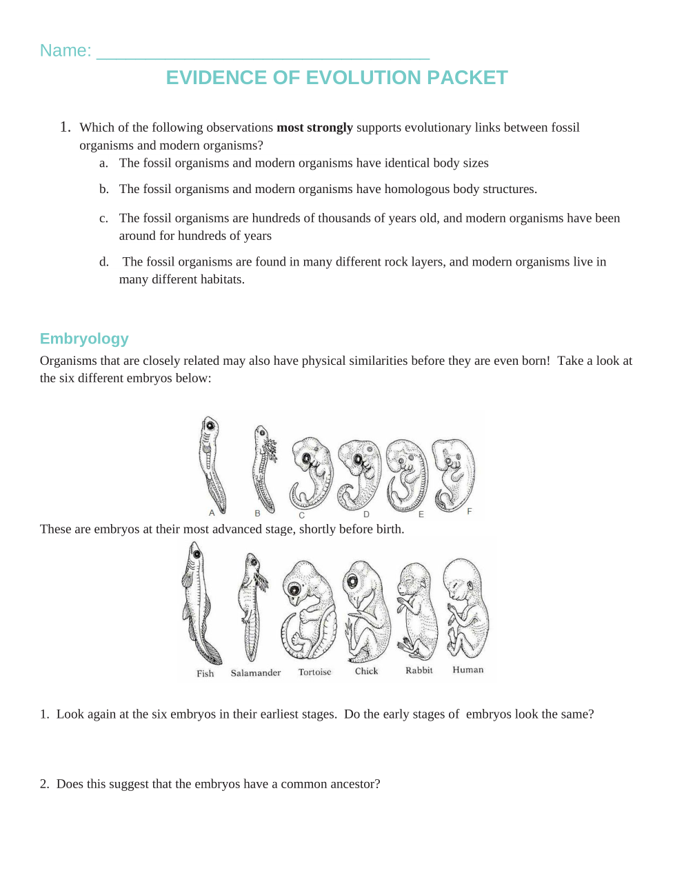 evidence of evolution worksheet