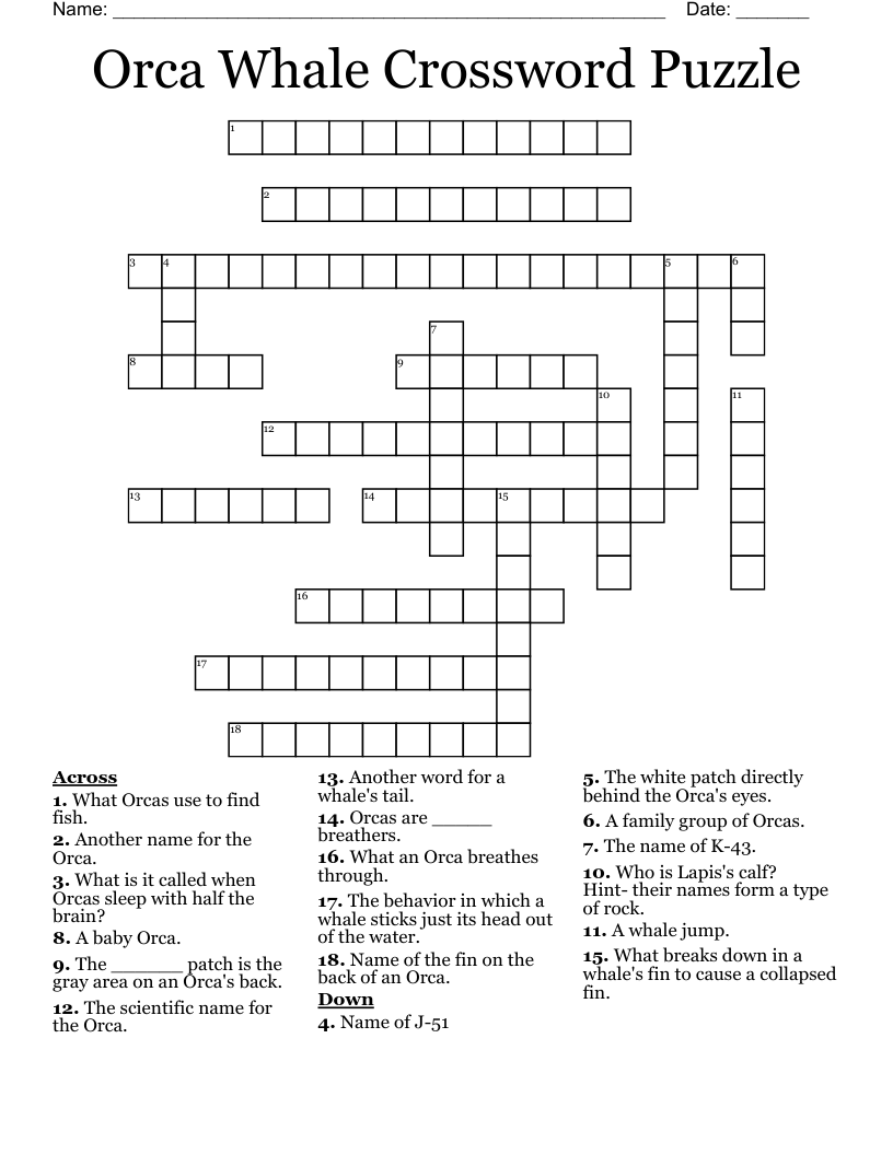 Orca Whale Crossword Puzzle WordMint Orca Whale Crossword Puzzle WordMint