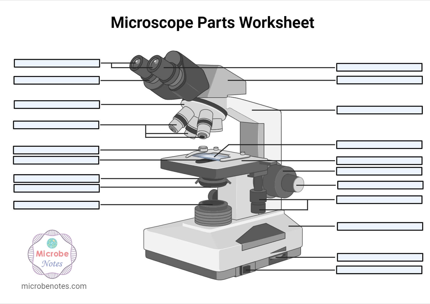 Parts Of A Microscope With Functions And Labeled Diagram Parts Of A Microscope With Functions And Labeled Diagram