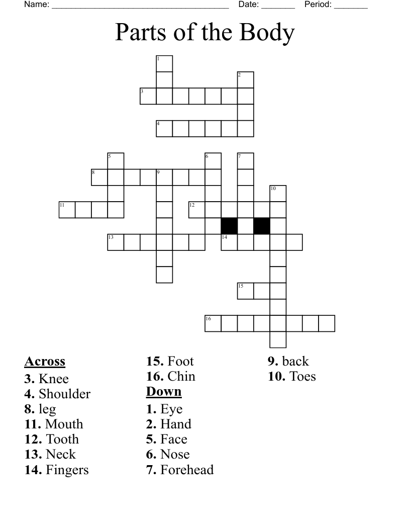Parts Of The Body Crossword WordMint Parts Of The Body Crossword WordMint