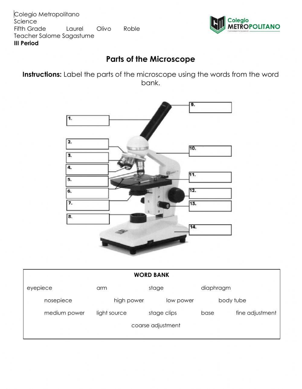 parts of a microscope worksheet parts of a microscope worksheet