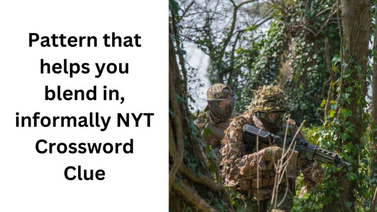 Pattern That Helps You Blend In Informally NYT Crossword Clue October 25 2024