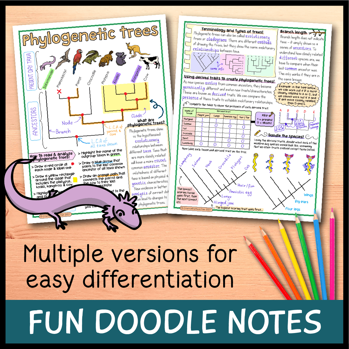 Phylogenetic Trees Lesson Bundle Emmatheteachie Resources Phylogenetic Trees Lesson Bundle Emmatheteachie Resources