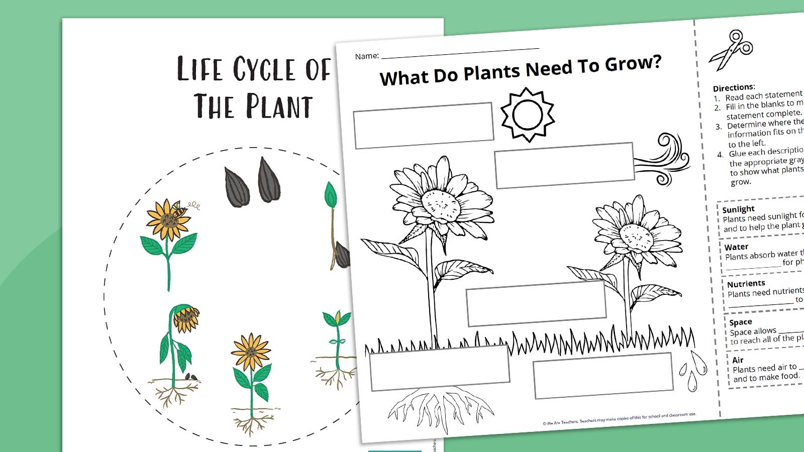 Plant Life Cycle Worksheet Bundle Free Printables Plant Life Cycle Worksheet Bundle Free Printables