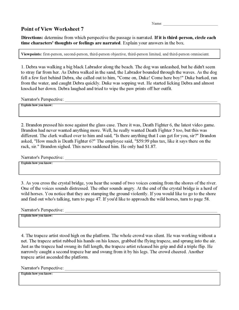 Point Of View Worksheet 7 Reading Activity