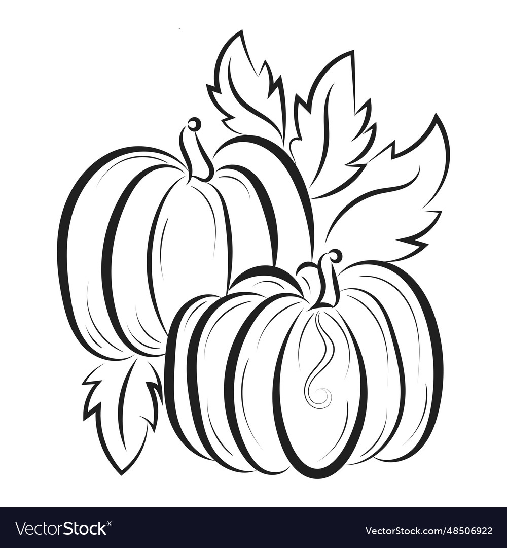 pumpkin coloring template printable