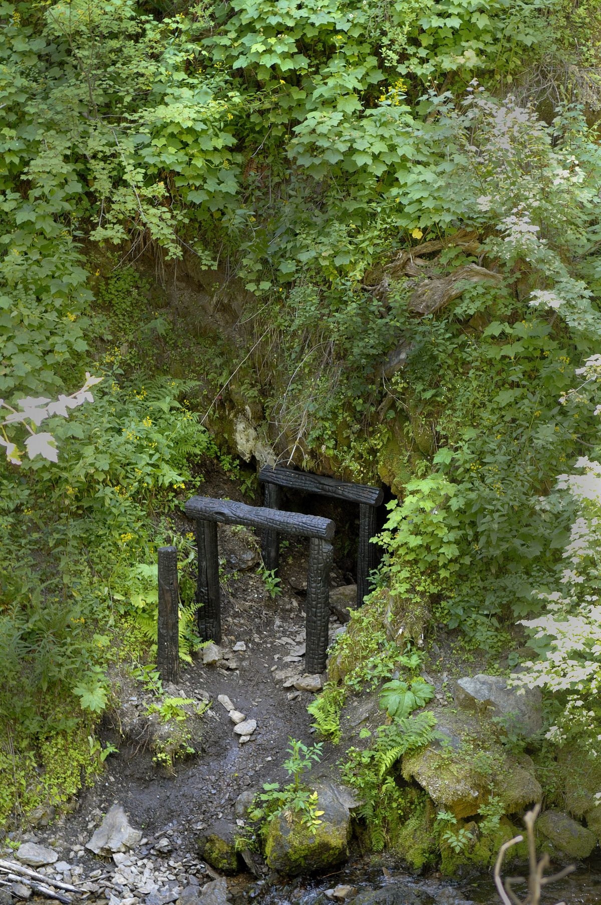 Pulaski s Heroism Resurfaced With Discovery Of Tunnel Pulaski s Heroism Resurfaced With Discovery Of Tunnel