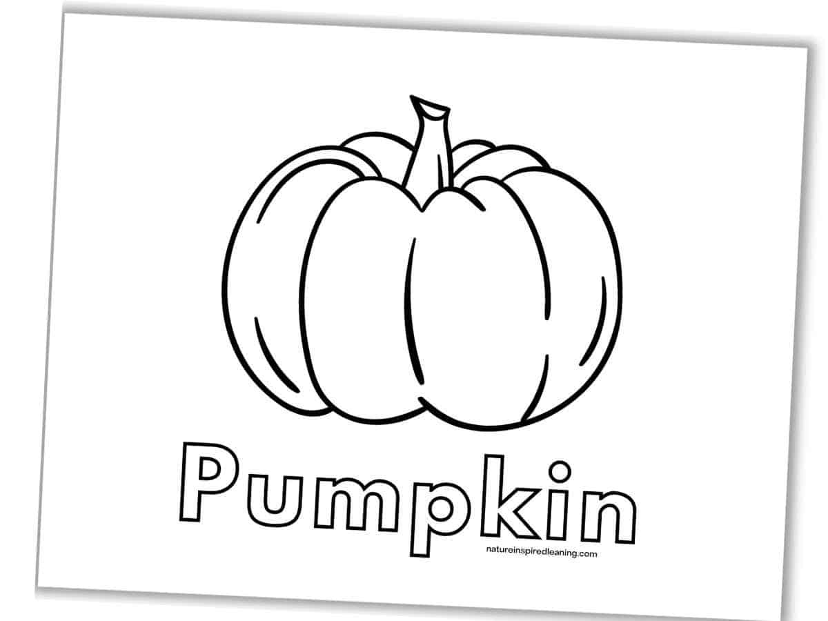 Pumpkin Coloring Pages Nature Inspired Learning