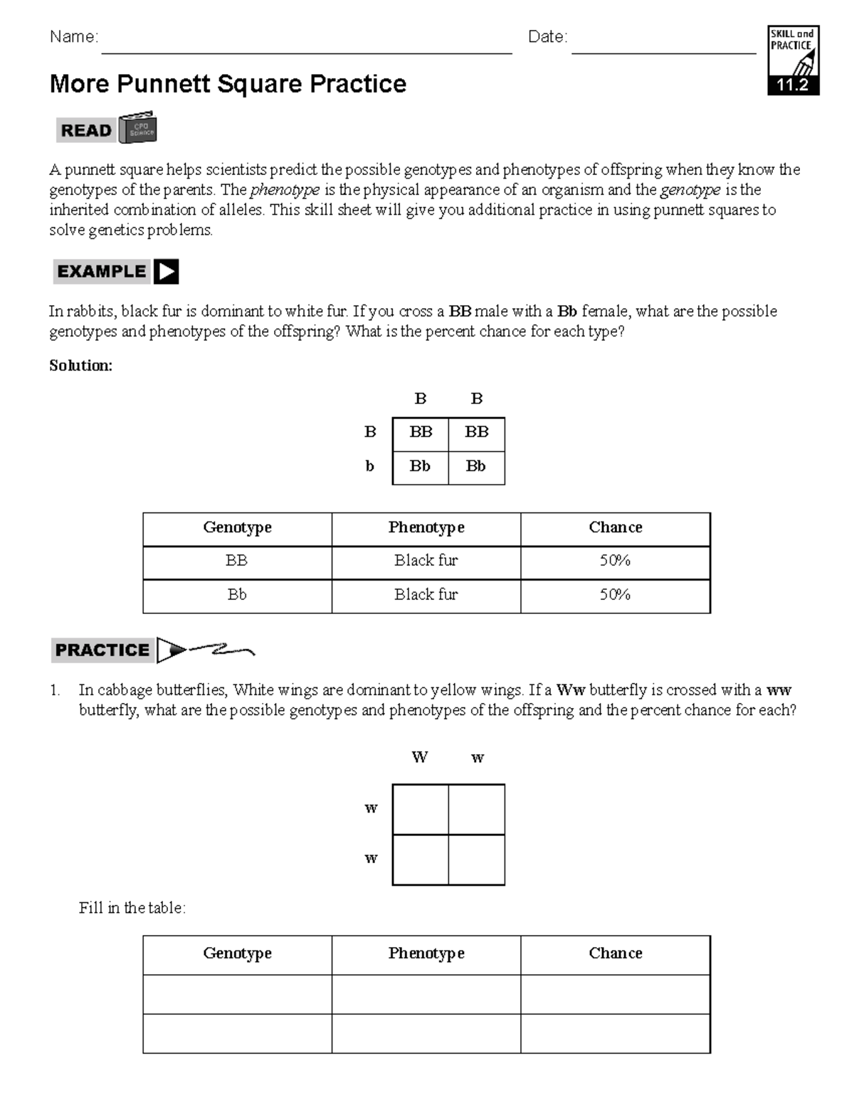 Punnet Square Worksheet Name Date More Punnett Square Practice 11 A Punnett Square Helps Studocu Punnet Square Worksheet Name Date More Punnett Square Practice 11 A Punnett Square Helps Studocu