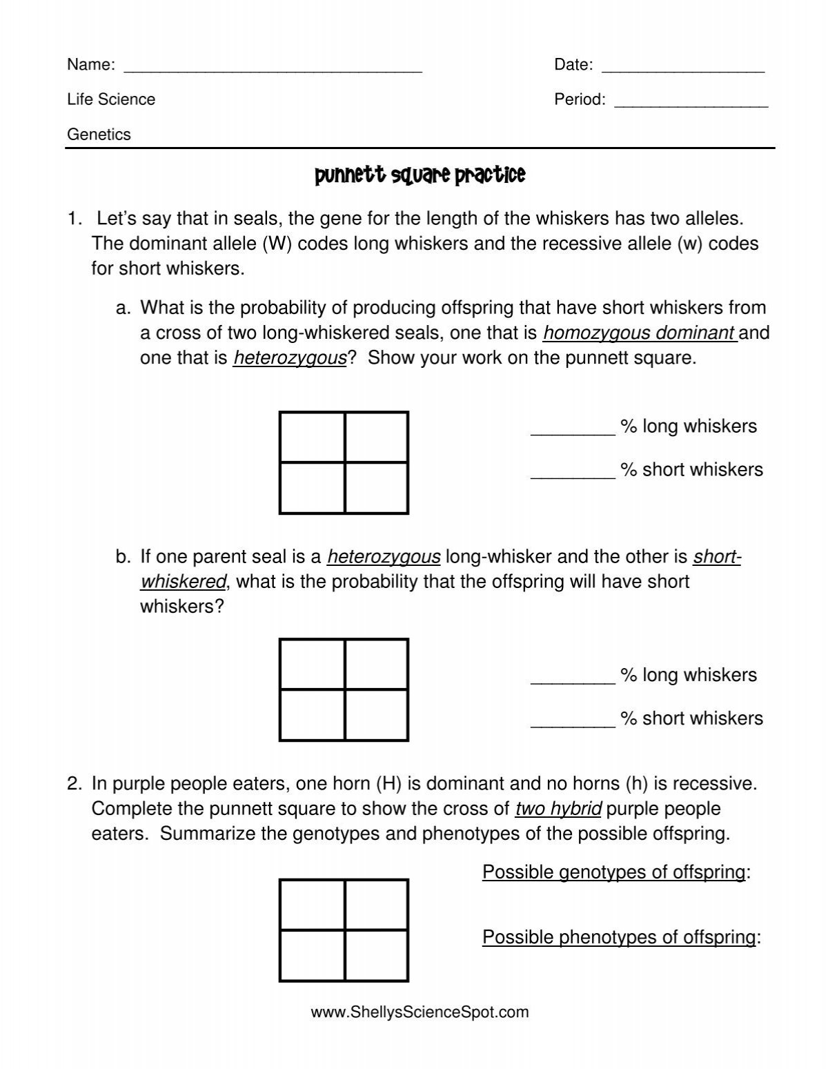 punnett square practice worksheet answer key punnett square practice worksheet answer key