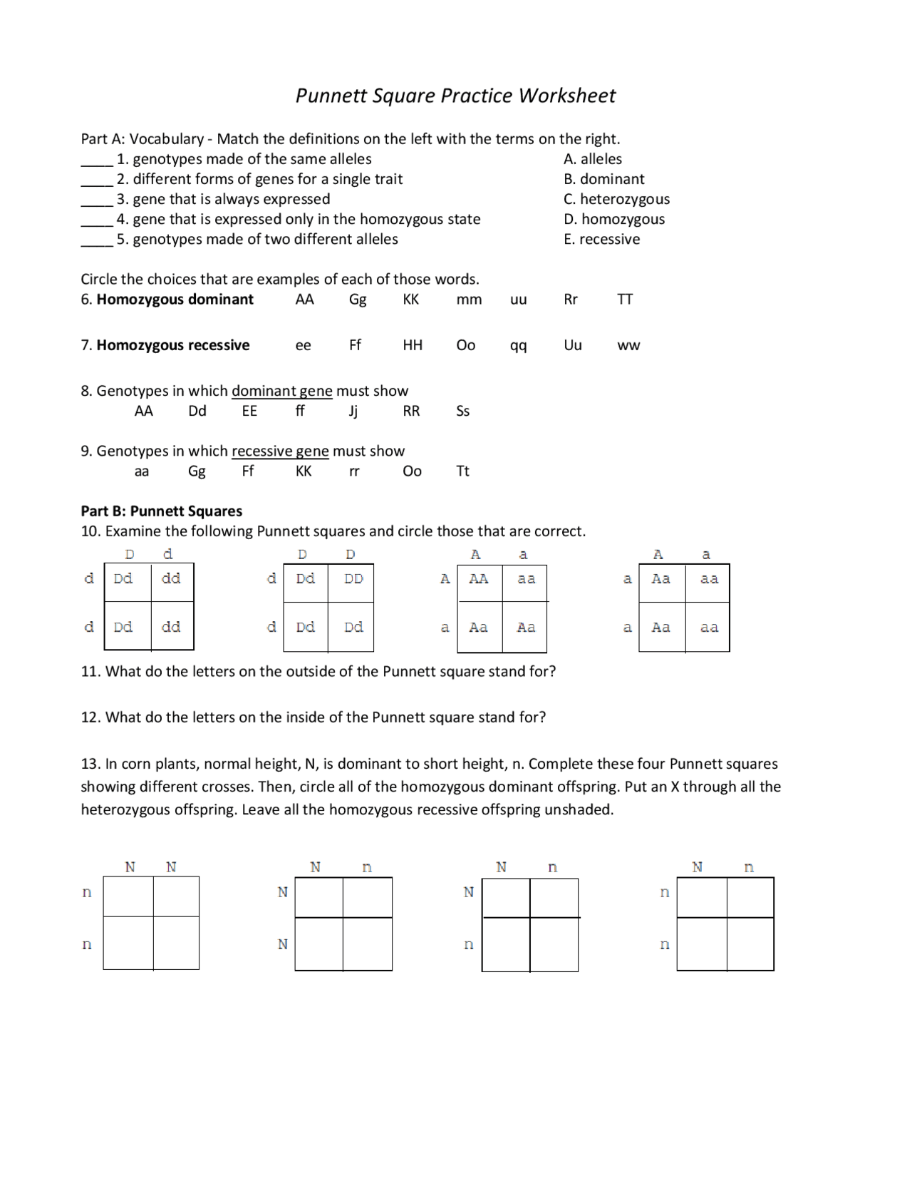 punnett squares worksheet with answers pdf punnett squares worksheet with answers pdf