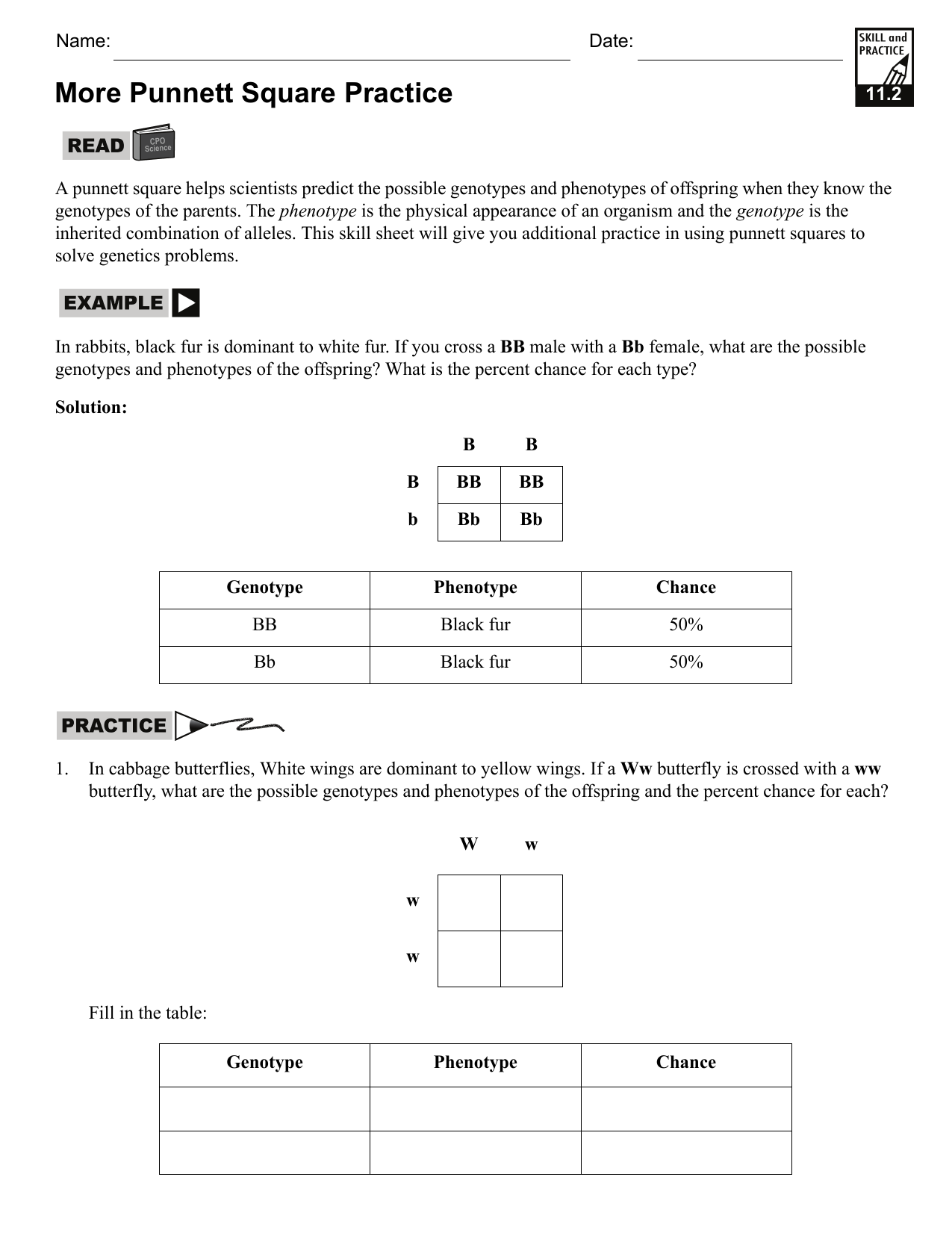 punnett square practice worksheet punnett square practice worksheet
