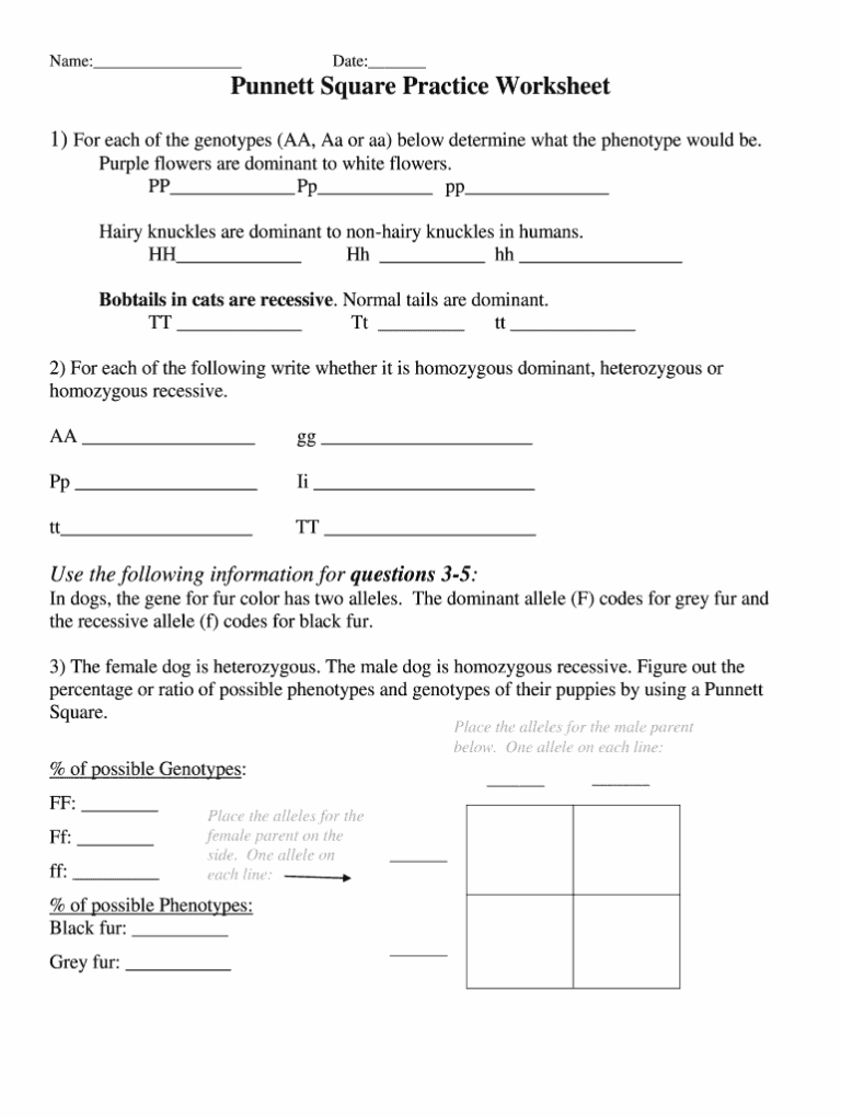 Punnett Squares Worksheet With Answers Pdf Fill Out Sign Online DocHub
