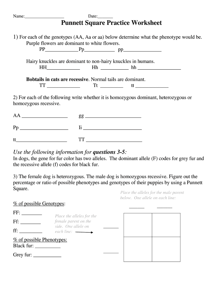 Punnett Squares Worksheet With Answers Pdf Fill Out Sign Online DocHub Punnett Squares Worksheet With Answers Pdf Fill Out Sign Online DocHub