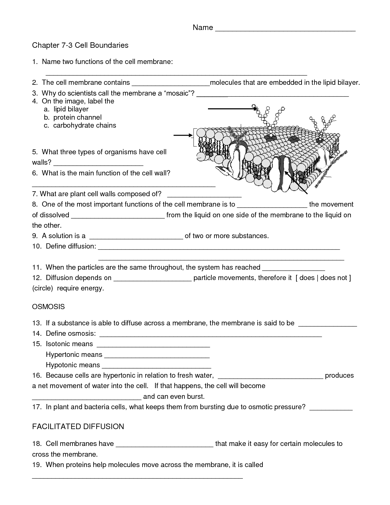 Science Grade 8 QED Worksheets Library Science Grade 8 QED Worksheets Library