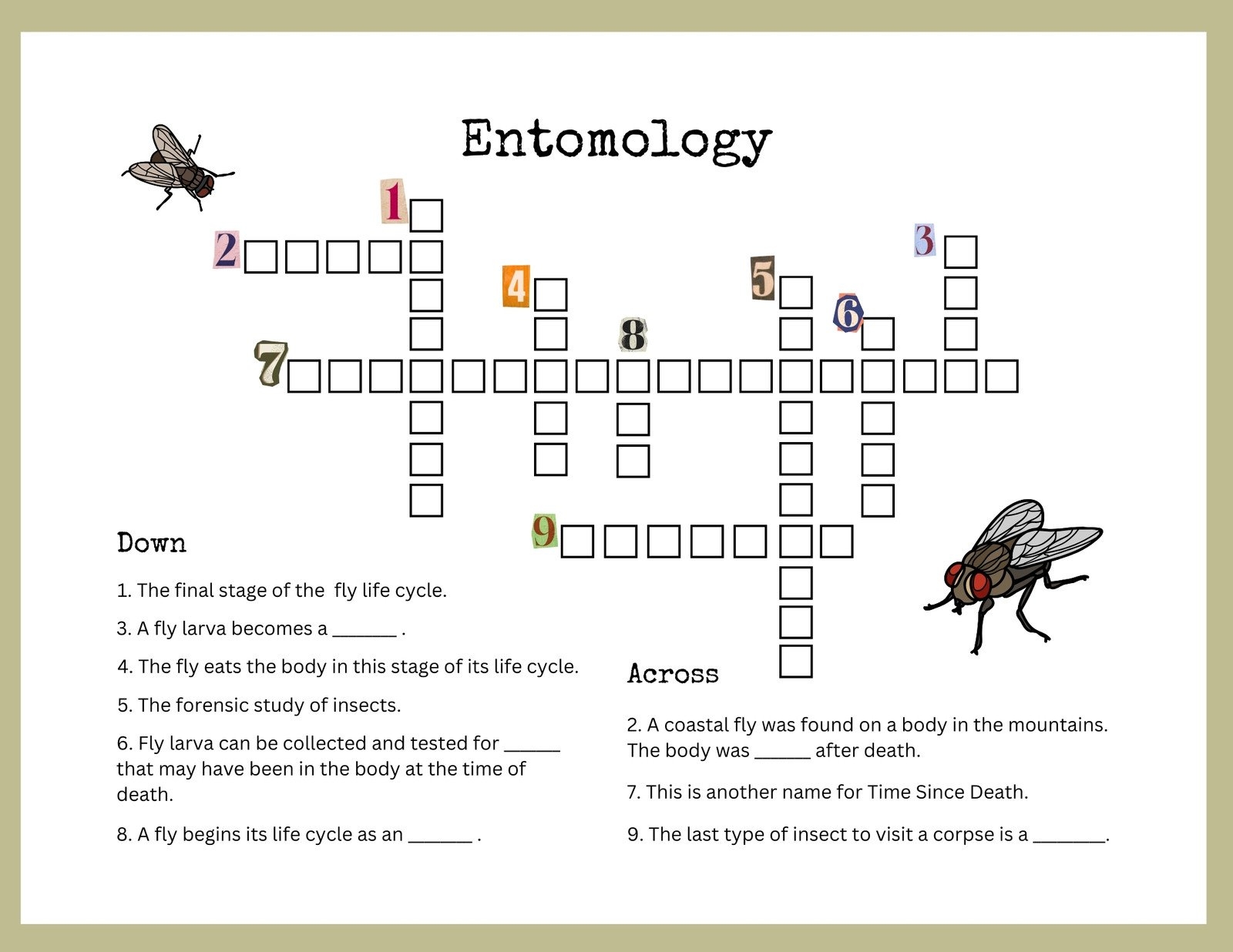 Science Of Curiosity Canva